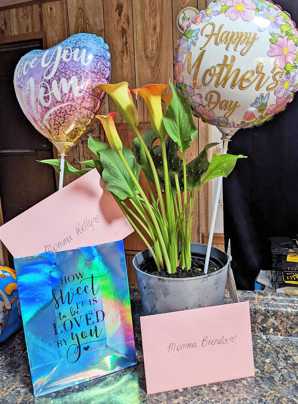 20 Mother's Day Gift Ideas - Sarah Joy