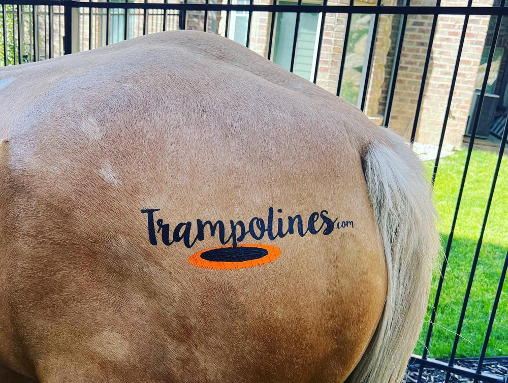 add logo to a horse with ikonart stencil